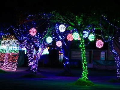 景觀樹照明亮化-是戶外亮化設(shè)計(jì)的關(guān)鍵構(gòu)成