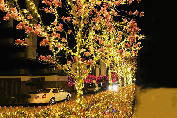 樹(shù)木燈光亮化-要滿(mǎn)足亮化標(biāo)準(zhǔn)