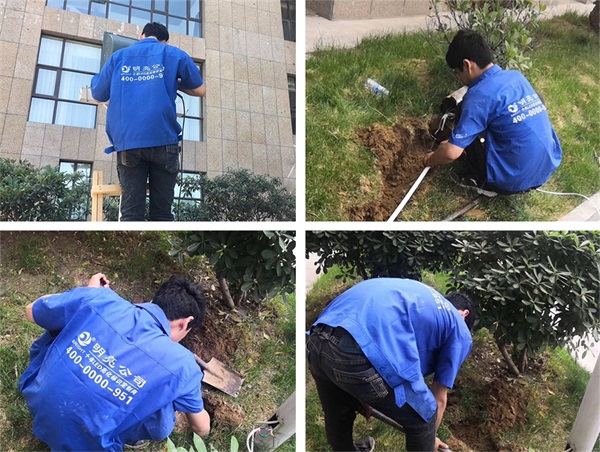 鄭煤機集團1985芝麻街樹木亮化工程施工現(xiàn)場